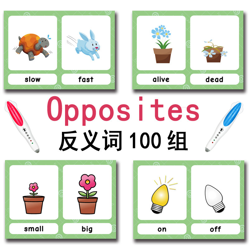 100 Cartões de Vocabulário em  - Kids Education Gift avaliação e preço
