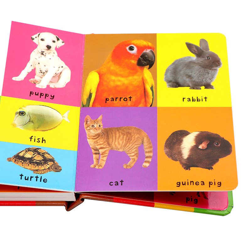 Livro de cartão com as primeir - Sight Word Game avaliação e preço